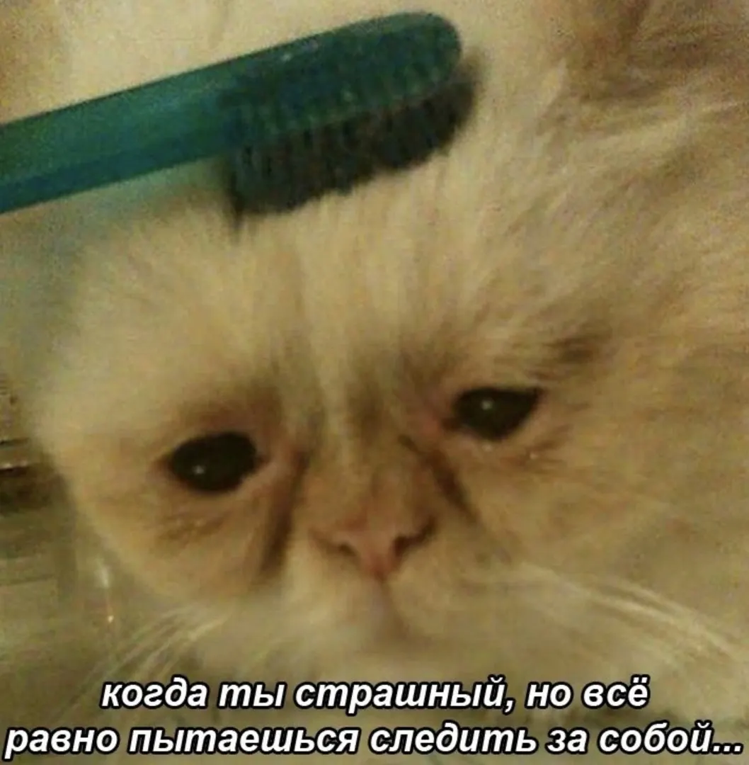 Saved meme 4