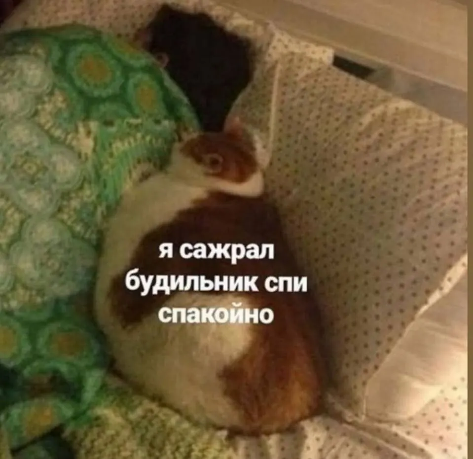 Saved meme 33
