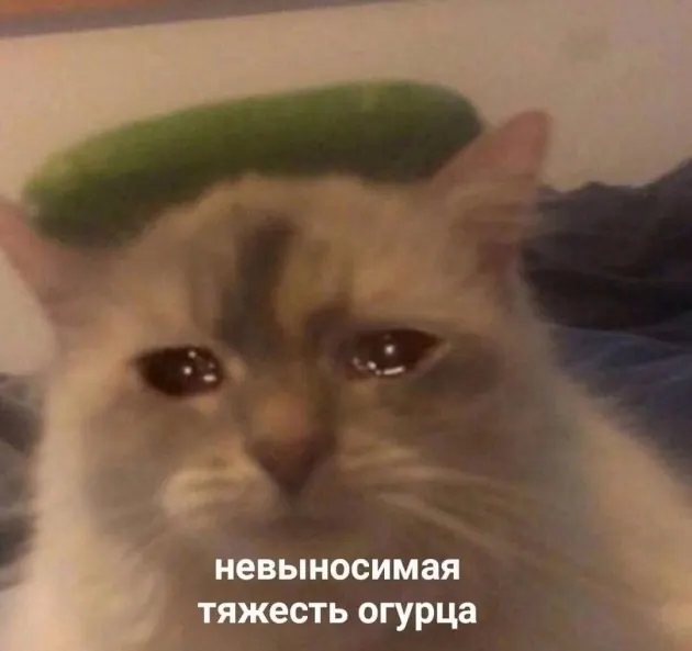 Saved meme 50